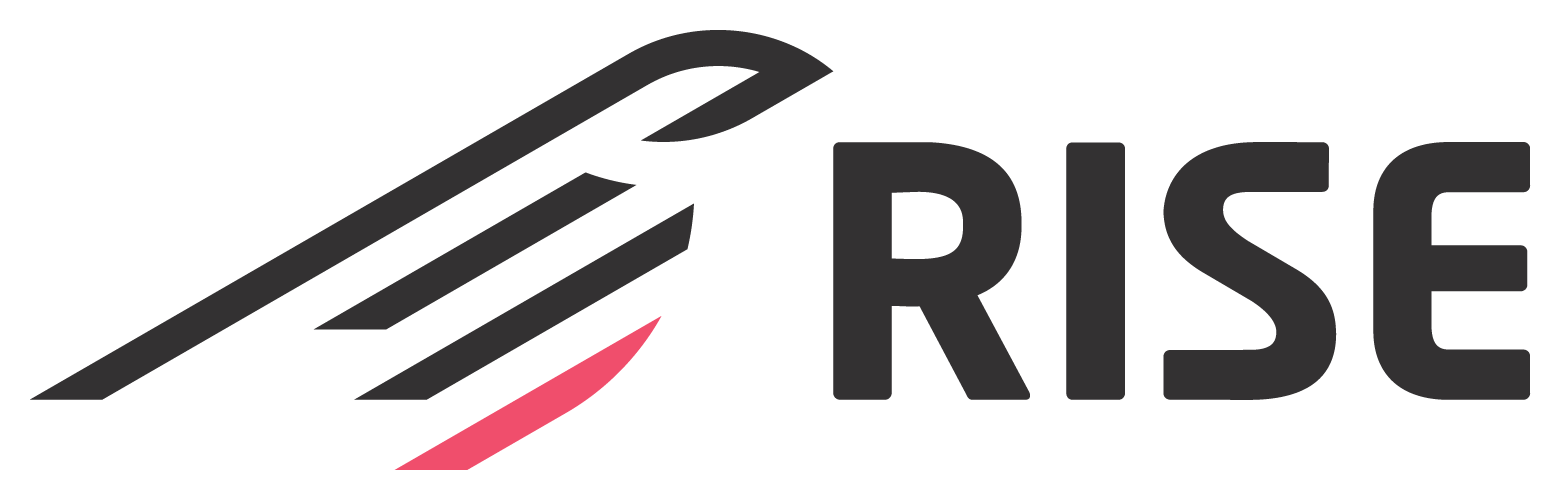 RISE Internet